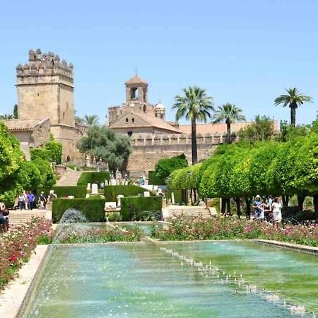 Apartamento Con Jardin Y Piscina En Córdoba Exterior foto