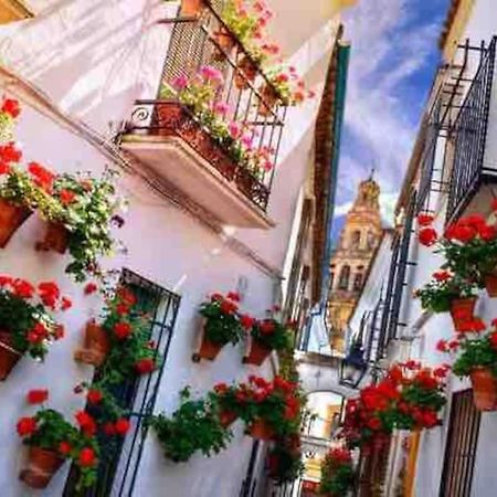 Apartamento Con Jardin Y Piscina En Córdoba Exterior foto