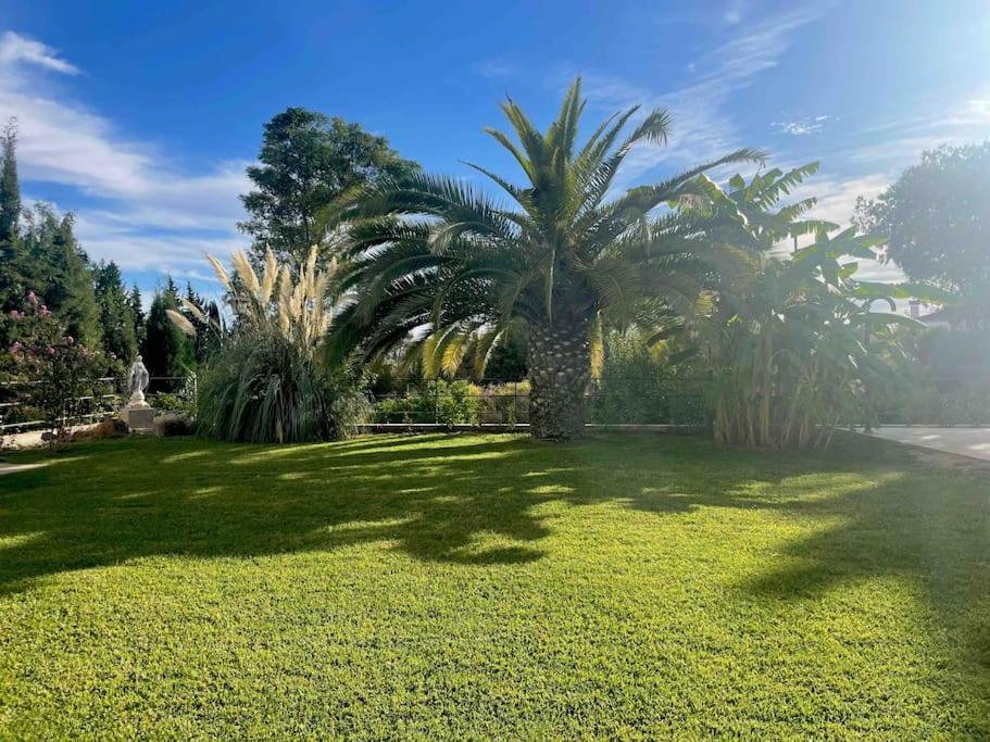 Apartamento Con Jardin Y Piscina En Córdoba Exterior foto